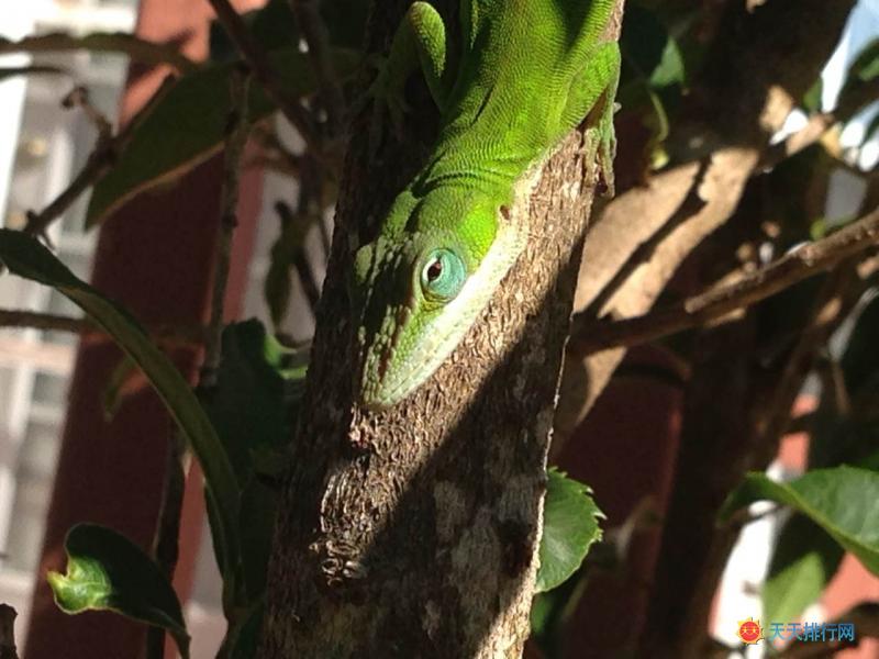 ����-���ܻ�ӭ�ĳ���Ʒ�����а��а�