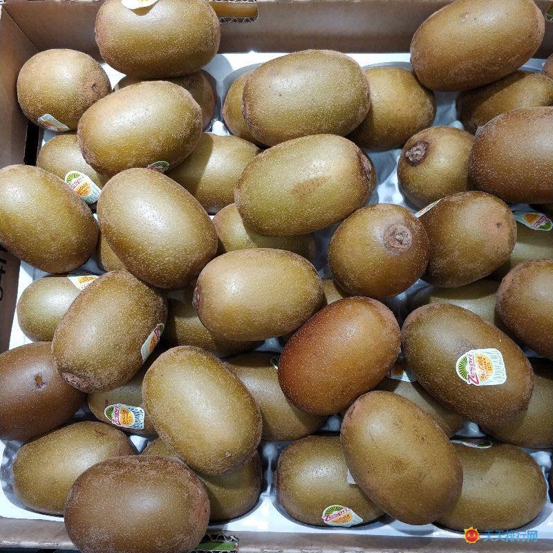 ⨺���(�����)