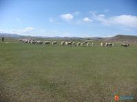 ���ױ���