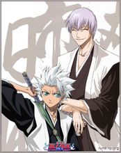 ������ �շ��ȶ�ʨ��