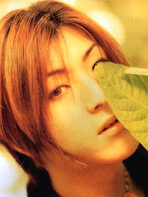 ��������-���ܻ�ӭ�����������������а�