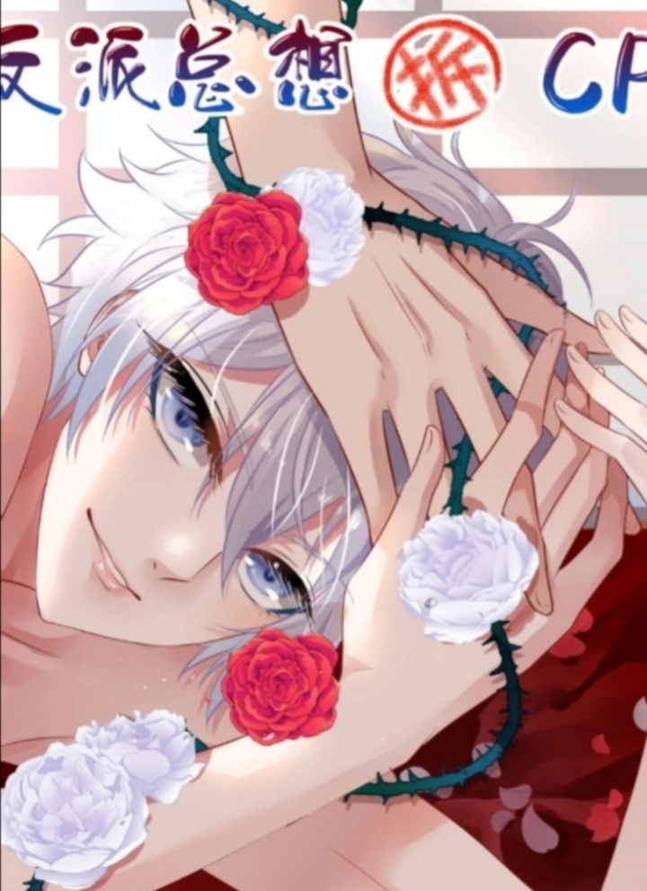 ���������CP-���丯�����а��а�